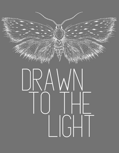 Drawn To The Light light